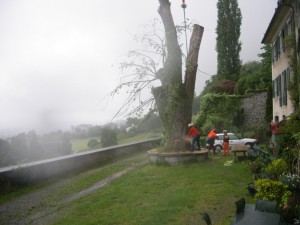 Lindentransport 23.05.05 035  